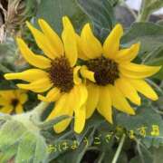 ヒメ日記 2025/08/18 09:30 投稿 くみこ 脱がされたい人妻 木更津店