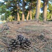 ヒメ日記 2025/08/22 09:38 投稿 くみこ 脱がされたい人妻 木更津店