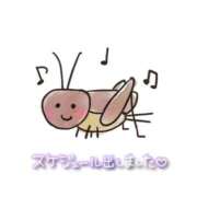 ヒメ日記 2025/08/28 09:02 投稿 くみこ 脱がされたい人妻 木更津店