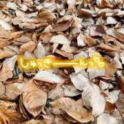 ヒメ日記 2025/09/05 09:45 投稿 くみこ 脱がされたい人妻 木更津店