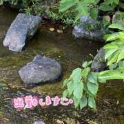 ヒメ日記 2025/09/19 09:23 投稿 くみこ 脱がされたい人妻 木更津店