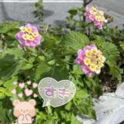 ヒメ日記 2025/09/24 10:08 投稿 くみこ 脱がされたい人妻 木更津店