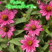 ヒメ日記 2025/10/02 10:08 投稿 くみこ 脱がされたい人妻 木更津店