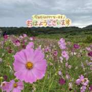 ヒメ日記 2025/10/09 08:55 投稿 くみこ 脱がされたい人妻 木更津店