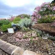 ヒメ日記 2025/10/14 10:25 投稿 くみこ 脱がされたい人妻 木更津店