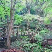 ヒメ日記 2025/10/15 09:51 投稿 くみこ 脱がされたい人妻 木更津店