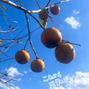 ヒメ日記 2025/11/05 09:51 投稿 くみこ 脱がされたい人妻 木更津店