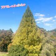 ヒメ日記 2025/11/07 12:05 投稿 くみこ 脱がされたい人妻 木更津店