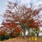 ヒメ日記 2025/11/10 09:52 投稿 くみこ 脱がされたい人妻 木更津店