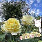 ヒメ日記 2025/11/11 09:48 投稿 くみこ 脱がされたい人妻 木更津店