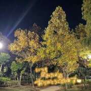 ヒメ日記 2025/11/14 09:41 投稿 くみこ 脱がされたい人妻 木更津店