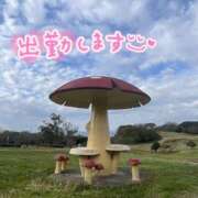 ヒメ日記 2025/11/17 11:01 投稿 くみこ 脱がされたい人妻 木更津店