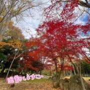 ヒメ日記 2025/12/01 09:09 投稿 くみこ 脱がされたい人妻 木更津店