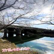 ヒメ日記 2026/01/16 09:38 投稿 くみこ 脱がされたい人妻 木更津店