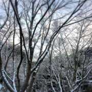 ヒメ日記 2026/02/09 09:34 投稿 くみこ 脱がされたい人妻 木更津店