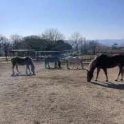 ヒメ日記 2026/02/24 08:05 投稿 くみこ 脱がされたい人妻 木更津店