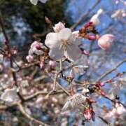 ヒメ日記 2026/03/19 09:45 投稿 くみこ 脱がされたい人妻 木更津店