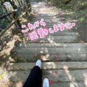 ヒメ日記 2026/03/24 08:50 投稿 くみこ 脱がされたい人妻 木更津店