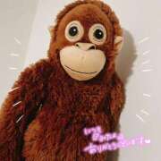 ヒメ日記 2026/03/26 09:02 投稿 くみこ 脱がされたい人妻 木更津店