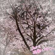 ヒメ日記 2026/04/07 08:51 投稿 くみこ 脱がされたい人妻 木更津店