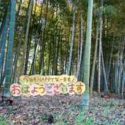 ヒメ日記 2026/04/15 09:41 投稿 くみこ 脱がされたい人妻 木更津店