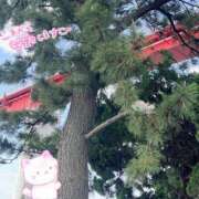 ヒメ日記 2026/04/30 09:14 投稿 くみこ 脱がされたい人妻 木更津店