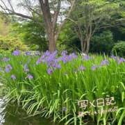 ヒメ日記 2026/05/18 05:35 投稿 くみこ 脱がされたい人妻 木更津店