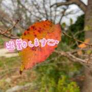 ヒメ日記 2026/10/20 07:51 投稿 くみこ 脱がされたい人妻 木更津店