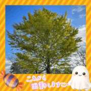 ヒメ日記 2026/10/22 07:58 投稿 くみこ 脱がされたい人妻 木更津店