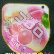 ヒメ日記 2025/03/12 23:17 投稿 上野 人妻楼 熊谷店