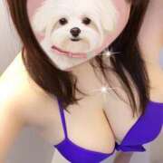 ヒメ日記 2026/08/11 14:46 投稿 ゆい 巨乳痴女専門店 萌えの隣人 新宿店