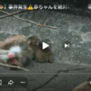 二宮さやか マイブーム 五十路マダム 浜松店(カサブランカグループ)