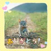 ヒメ日記 2025/05/31 21:48 投稿 樋口　えな エテルナ京都