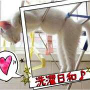 ヒメ日記 2025/10/17 11:56 投稿 樋口　えな エテルナ京都