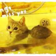 ヒメ日記 2025/11/05 15:15 投稿 樋口　えな エテルナ京都