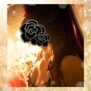 ヒメ日記 2025/11/27 16:26 投稿 樋口　えな エテルナ京都