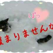 樋口　えな トンネルを抜けると・・・ エテルナ京都