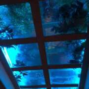 ヒメ日記 2025/04/29 08:02 投稿 大崎　ともみ エテルナ京都