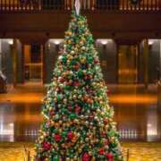 ヒメ日記 2025/12/25 13:54 投稿 大崎　ともみ エテルナ京都