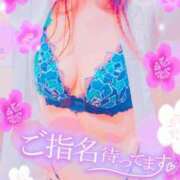 ヒメ日記 2025/03/18 07:32 投稿 りの XSTASY（エクスタシー）