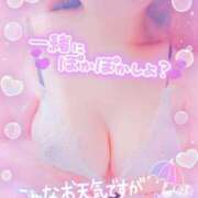 ヒメ日記 2025/04/01 07:37 投稿 りの XSTASY（エクスタシー）