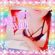 ヒメ日記 2026/01/11 08:44 投稿 りの XSTASY（エクスタシー）