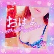 ヒメ日記 2026/04/28 07:19 投稿 りの XSTASY（エクスタシー）