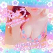 ヒメ日記 2026/05/13 07:02 投稿 りの XSTASY（エクスタシー）