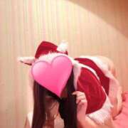 ヒメ日記 2024/12/22 12:29 投稿 みみ ニューティアラ