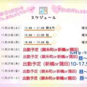 りゆ 🩷りゆ🩷03連休以降の出勤予定です(๑•ᴗ•๑)本日は錦糸町店🎵 世界のあんぷり亭 新橋店