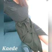 ヒメ日記 2026/03/26 09:51 投稿 かえで 人妻の秘密船橋店