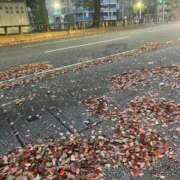 ヒメ日記 2025/03/28 07:04 投稿 高道 熟女の風俗最終章 横浜本店