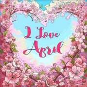 ヒメ日記 2025/04/02 13:35 投稿 高道 熟女の風俗最終章 横浜本店