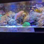 ヒメ日記 2026/01/18 14:50 投稿 高道 熟女の風俗最終章 横浜本店